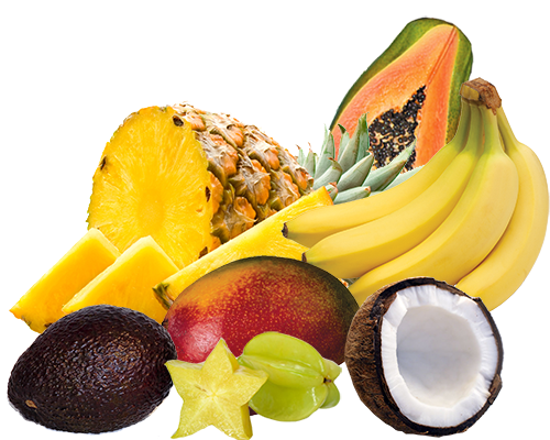 Fruits & dry vegetables