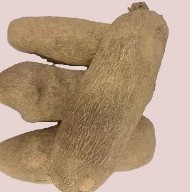 Yam Tuba