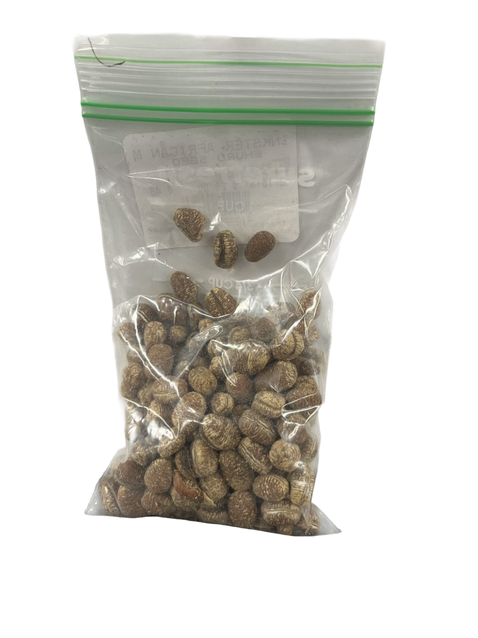 Nutmeg Seed