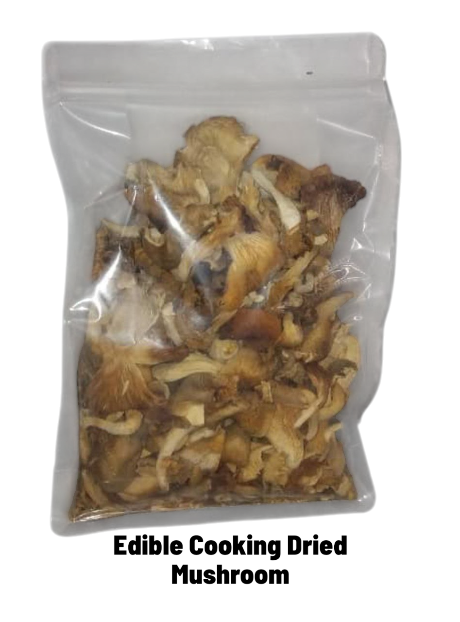 Edible Cooking Dried Mushroom (Bulk) and parcel.