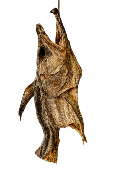 Premium Dried Stockfish Head – Authentic Norwegian Quality Elevate your culinary experience with our Premium Dried Stockfish Head, traditionally air-dried and imported from the cold waters of Norway. Revered across West Africa for its rich flavor and firm